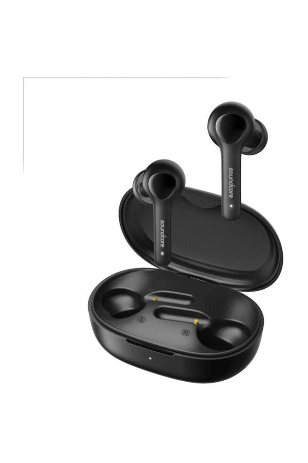 Earbuds